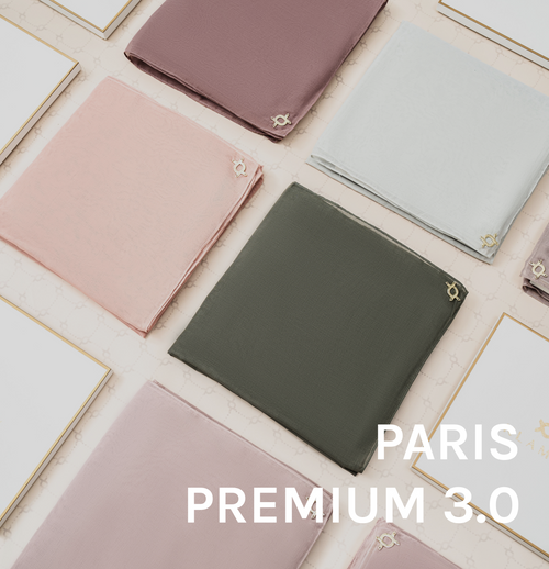 Paris Premium 3.0